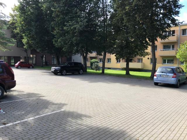 City Central Apartment Palanga Dış mekan fotoğraf